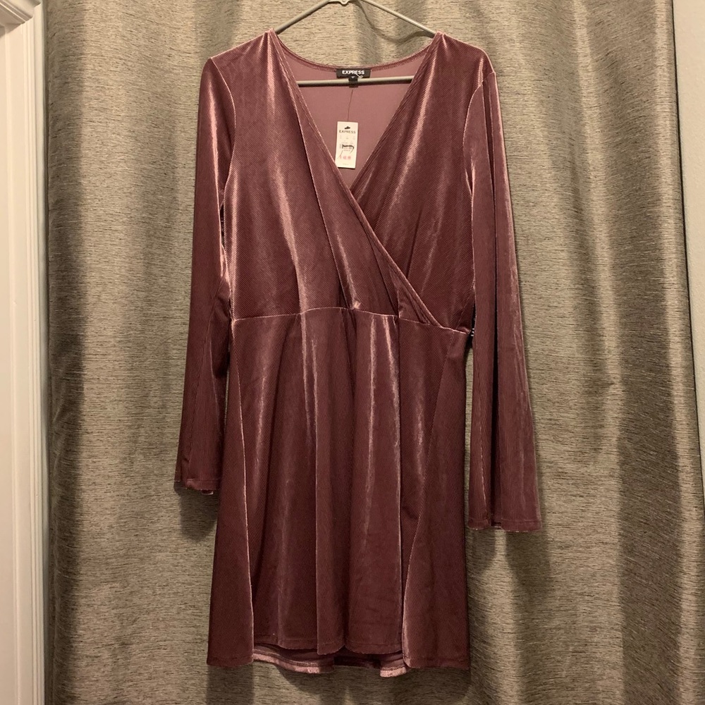 NWT Express dress
